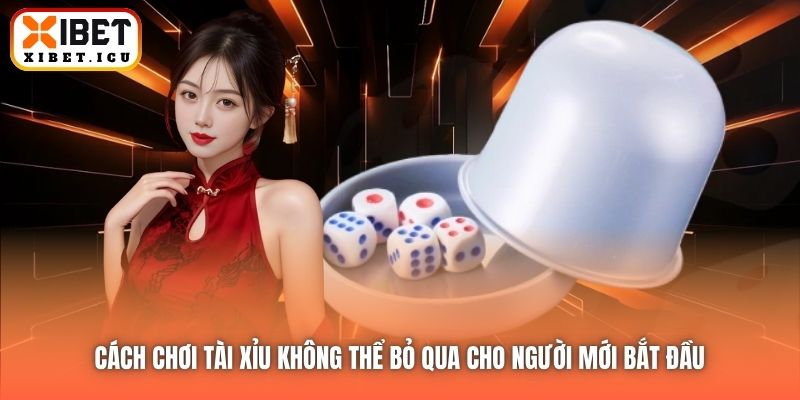 Cách chơi Tài Xỉu không thể bỏ qua cho người mới bắt đầu 
