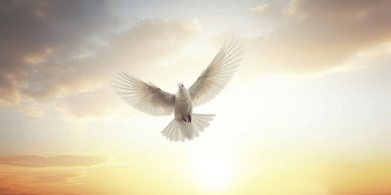 Đánh giá giấc mơ qua góc nhìn tâm lý học