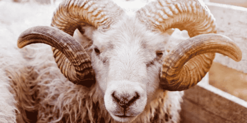 Phân tích chi tiết theo những trường hợp hay gặp