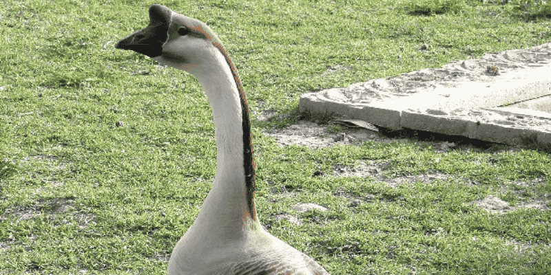 Luận giải con số may mắn để thử vận may