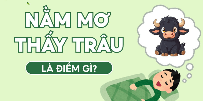 Phân tích giấc mơ về điềm báo hung cát