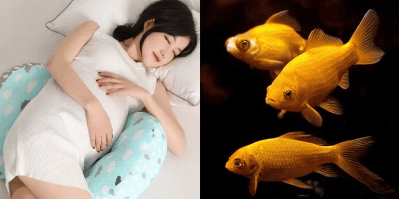 Những việc cần làm sau khi mơ để thu hút may mắn